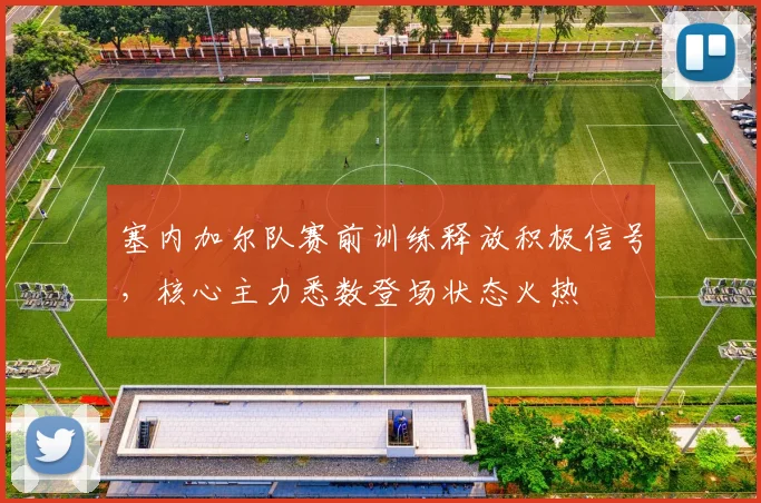塞内加尔队赛前训练释放积极信号，核心主力悉数登场状态火热